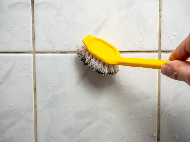 Best Black Mold Remediation in Shorewood, WI