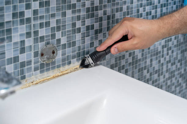 Best Mold Testing and Inspection Services in Shorewood, WI